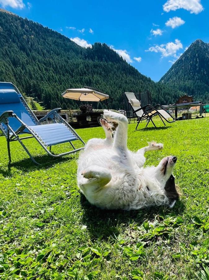 Chalet Sunshine ลีวินโญ ภายนอก รูปภาพ