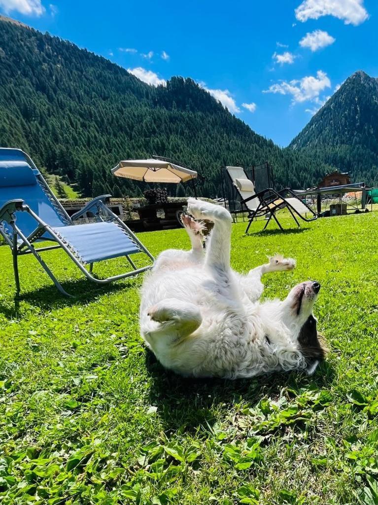 Chalet Sunshine ลีวินโญ ภายนอก รูปภาพ